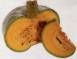 Zucca