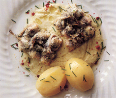 Alici saporite