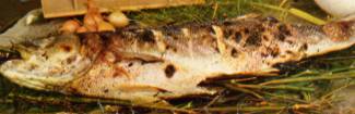Branzino al finocchio
