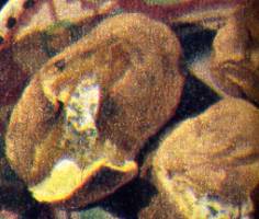 Patate intere al forno