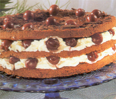 Torta al cioccolato con ciliegie