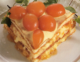 Torta alle albicocche