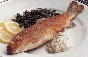 Trote tartare